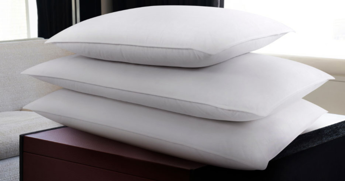 НАЙДОРОЖЧА ПОДУШКА В СВІТІ